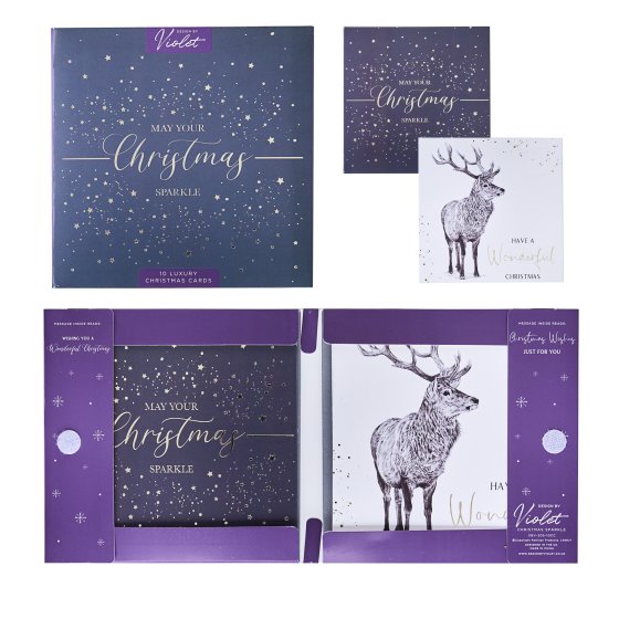 XG2213 CARDS CHRISTMAS SPARKLE 10 PACK