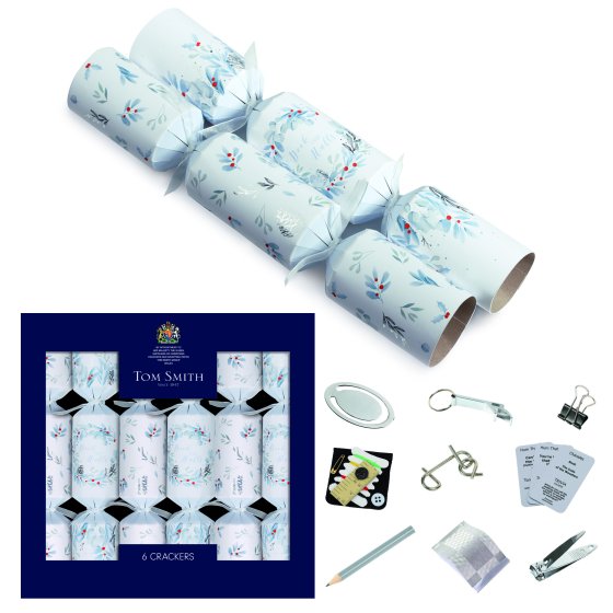 WIGIG CRACKERS 6 X 35CM PREM FROSTED