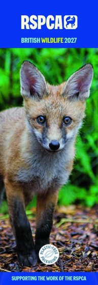 DJ1402 CALENDAR SLIM BRITISH WILDLIFE