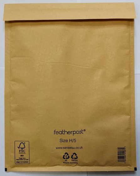 CJ0408 SJ00423 PADDED ENVS GOLD 100 SIZE H5