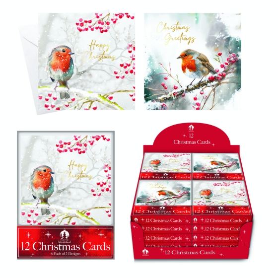 CARDS BOX 12 SQ ROBIN/HOLLY SCENE