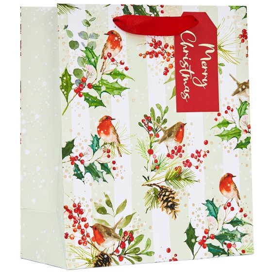 XG2311 GIFT BAG ROBINS MEDIUM