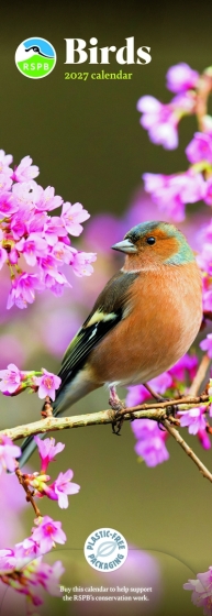DJ1401 CALENDAR SLIM RSPB BIRDS