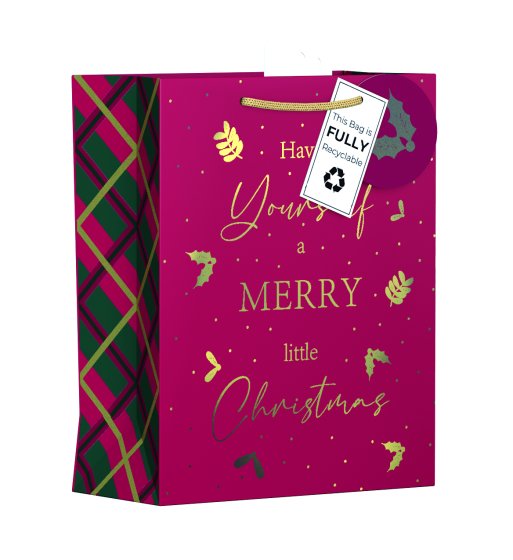 WIGIG GIFT BAG MERRY CHRISTMAS MED