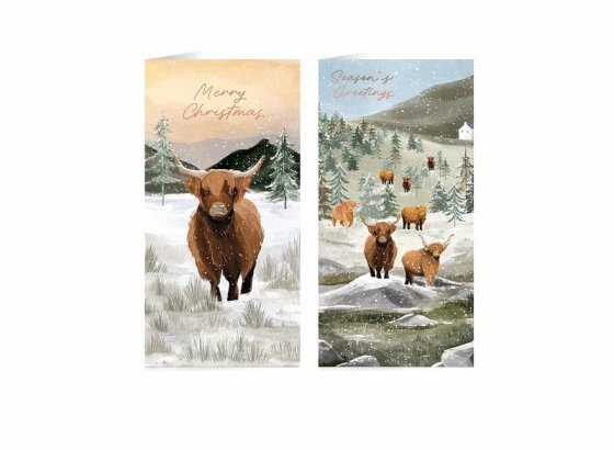 CARDS BOX 15 LUXURY SLIM HOT AIR BALLOON SANTA