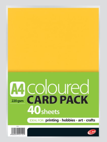 SH09308 CARD A4 COLOURED PK 220GM 40SH