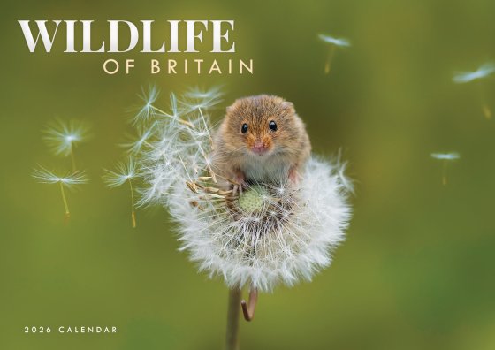 DH1301 CALENDAR A4 WILDLIFE