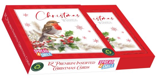 CARDS BOX 12 PRE WINTER ROBIN
