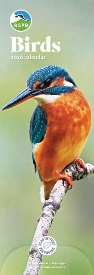 DH1401 CALENDAR SLIM RSPB BIRDS