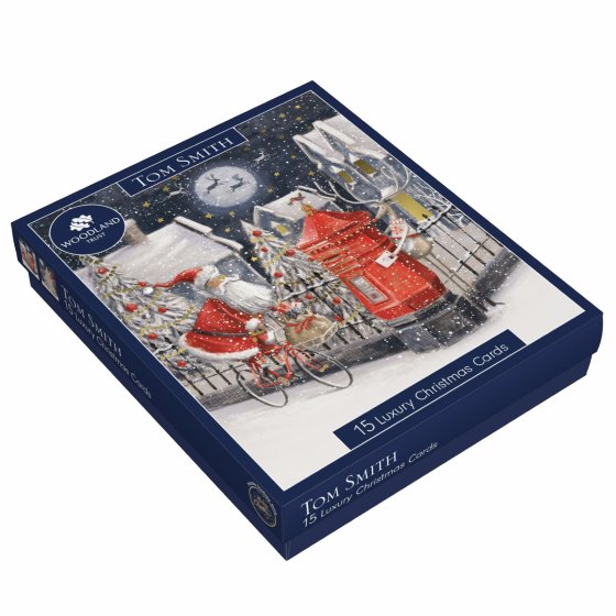 XH0409 CARDS LUX BOXED WHIMSICAL SANT