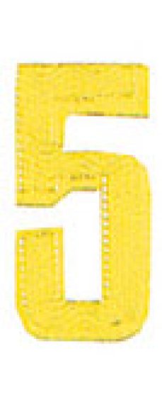 SH12215 GOLD NUMERAL NO5