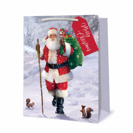 XH3108 GIFT BAG TRAD SANTA MED