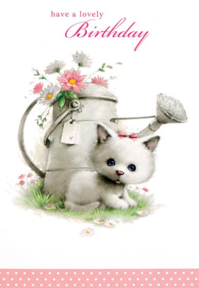 SH14725 OB10015 FEMALE BIRTHDAY C50