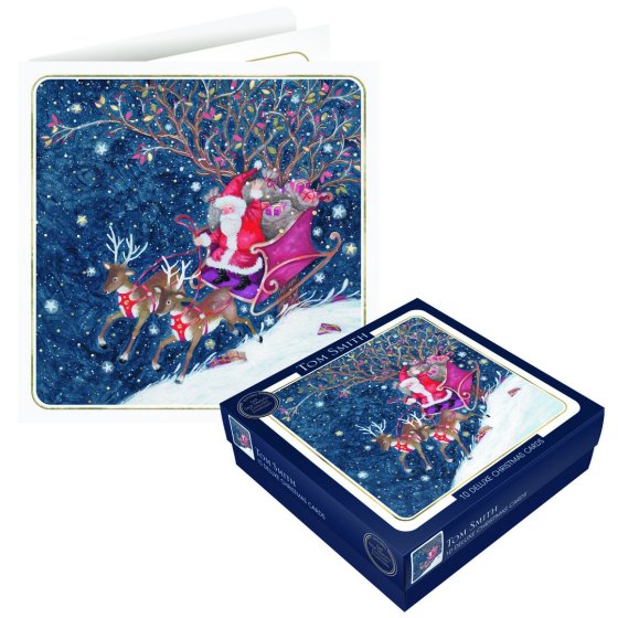 CARDS BOX 10 DELUXE CHRISTMAS SANTA