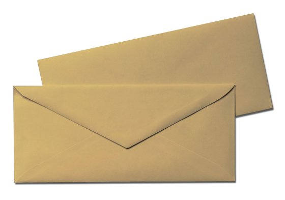 SE01210 ENVS  MANILLA DL WINDOW 1000