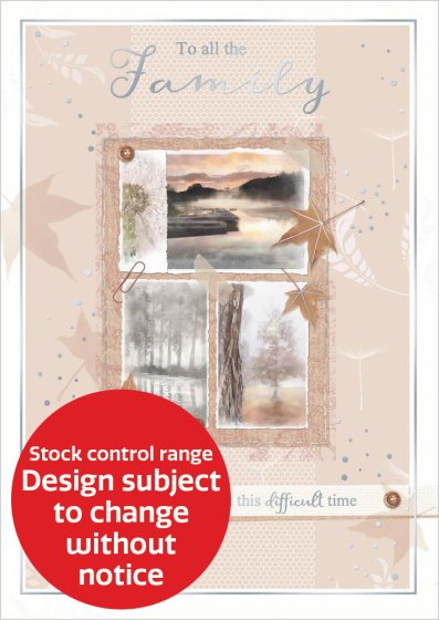 OTB17185B C50 STOCK CONTROL SYMPATHY ALL FAMILY