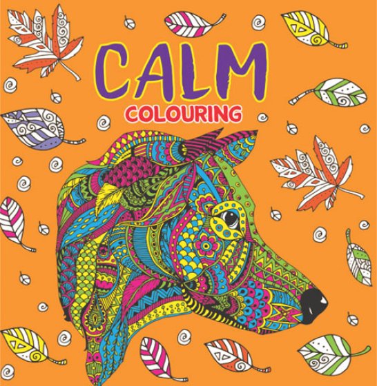 SH10206 BOOK CALM COLOURING 215 X 215M