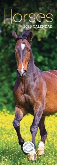 DH1405 CALENDAR SLIM HORSES