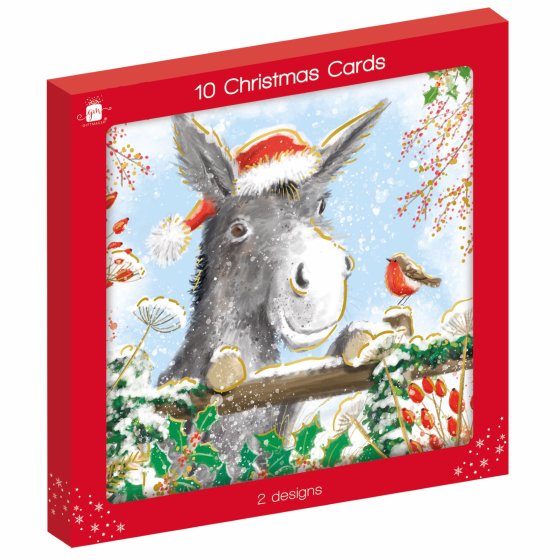 XH0610 CARDS SQ 10PK DONKEYS 2ASST