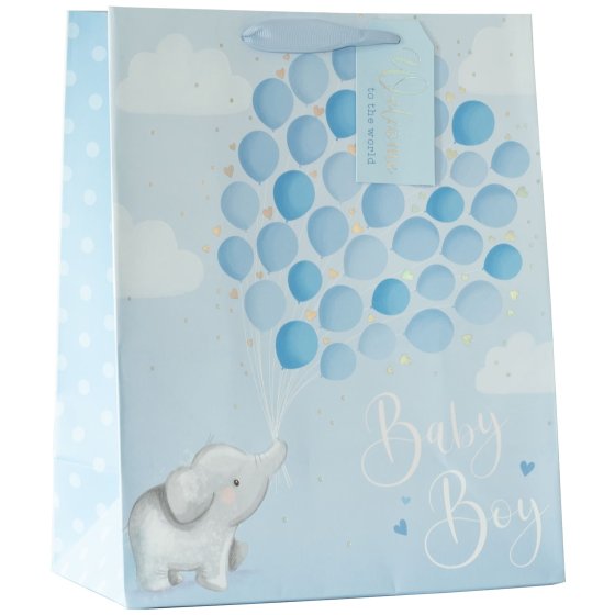 NEW FOR 2024 SG12912 GIFT BAG LITTLE BLUE LRG