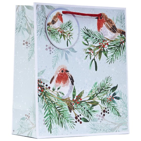 XH2317 GIFT BAG ROBIN M