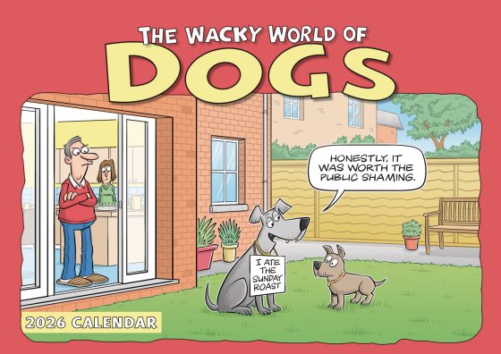 DH1306 CALENDAR A4 WACKY WORLD OF DOG