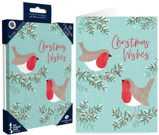 WIGIG CARDS 10PK LUX ROBIN