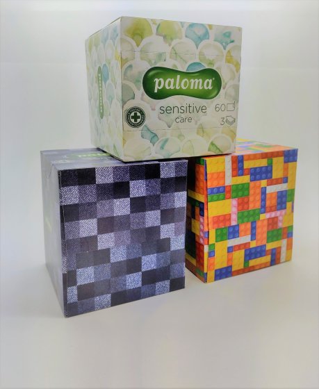 CH1509 SH11209 PALOMA BOXED TISSUES ASSTD