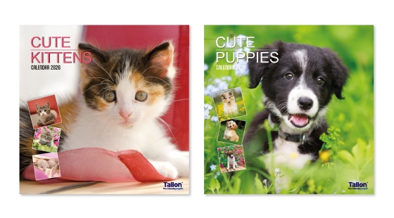 2027 CALENDAR SQUARE KITTENS PUPPIE
