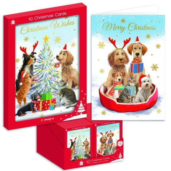 CARDS PORTRAIT TRADITIONAL PETS 10PK