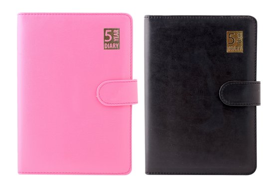 SJ11117 SJ11117 A5 DAP 5 YEAR OPEN DIARY BRIGHTS ASST