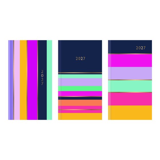 DJ0406 2027 DIARY SLIM BRIGHT STRIPE WTV ASST