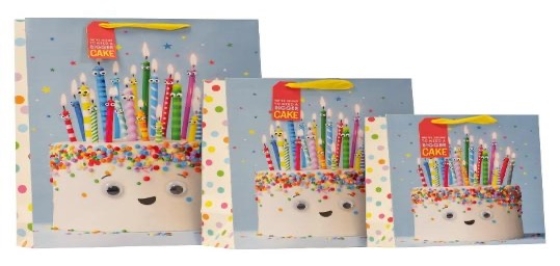 ** NEW FOR 2026 ** GIFT BAG CAKE CARNIVAL M