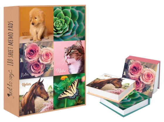 SH02404 MEMO BLOCK PHOTO 180 SH