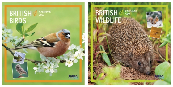 DJ1102 2027 CALENDAR SQUARE UK BIRDS WILDL