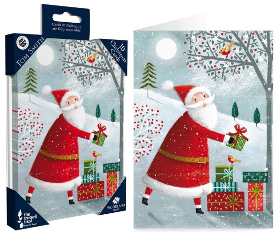 WIGIG CARDS 10PK LUX WHIMSICAL SANTA